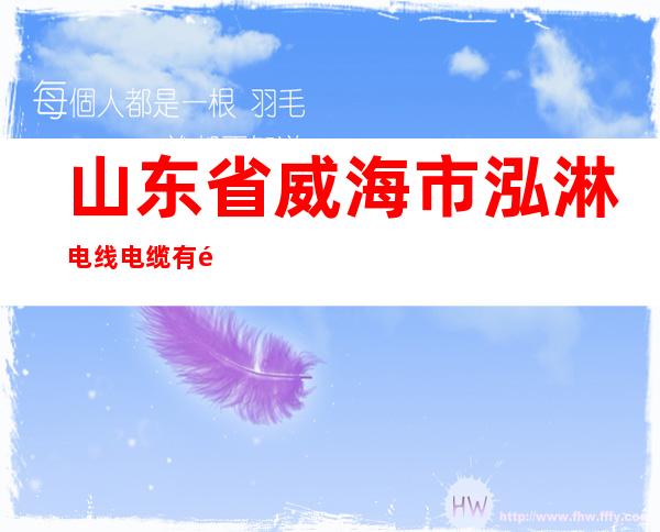 山东省威海市泓淋电线电缆有限公司